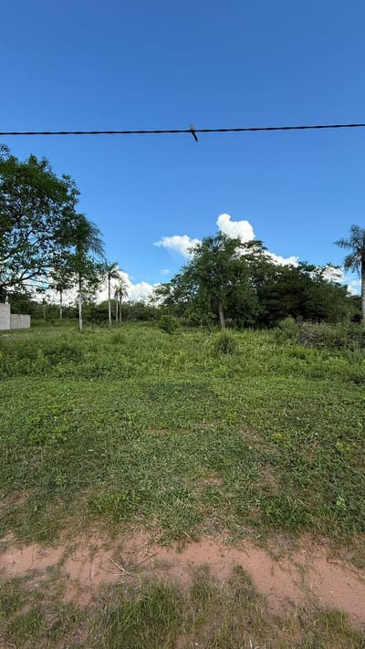 VENDO TERRENO EN LA CIUDAD DE ALTOS 