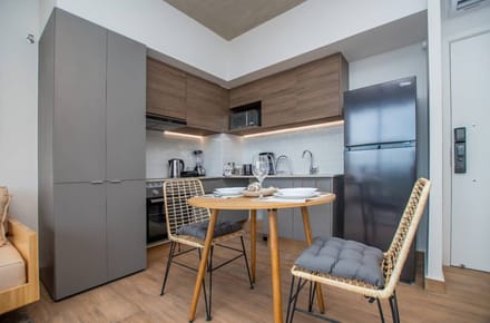  DEPARTAMENTO EQUIPADO EN EDIFICIO HASSLER
