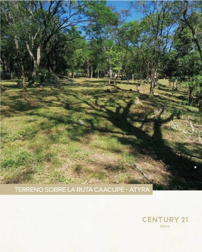 Venta de Estancia/Ganadera en Caacupé, Cordillera