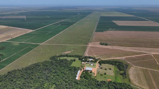 Vendo Campo de  4,607 Hectáreas en General Artigas Itapúa 