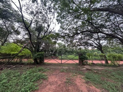 VENDO TERRENO EN SAN BERNARDINO - LA SUIZA