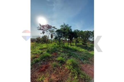 VENDO 3 TERRENOS EN YPANÉ