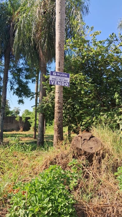 Vendo O Permuto Terreno En Limpio