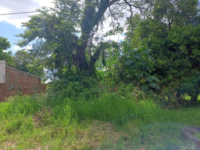 VENDO TERRENO EN OFERTA EN SAN LORENZO 