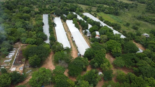 Vendo Granja Avícola En Altos