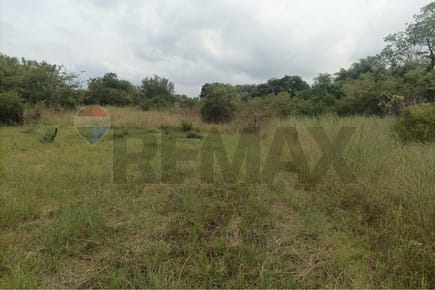 Terreno - Venta - Ypané, Central, Paraguay