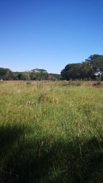 En venta terrenos de 360 m2 c/u en el Cerro de Areguá