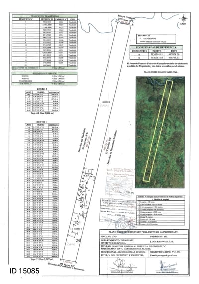 82 HECTÁREAS EN CARAPEGUÁ | IDEAL PARA AGRICULTURA, GANADERÍA O INVERSIÓN
