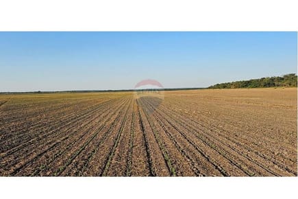 Vendo campo de 600 Hectáreas en san Pedro del Paraná agricultora ganadería 