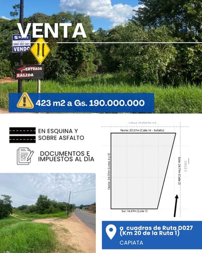 Terreno