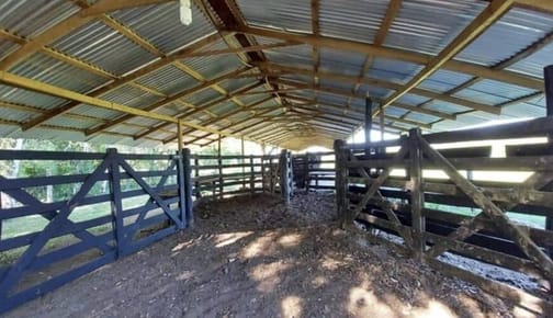 VENTA 50 HECTAREAS 