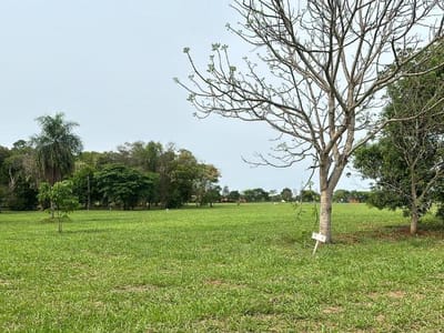 TERRENO EN CONDOMINIO SANTA ELENA HERNANDARIAS