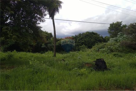 TERRENO LOS JARDINES, LUQUE