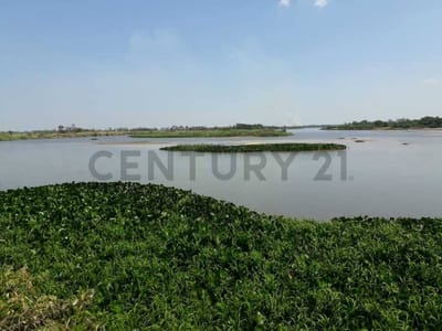 Vendo campo agricola, ganadero y forestal en Villa del Rosario - San Pedro