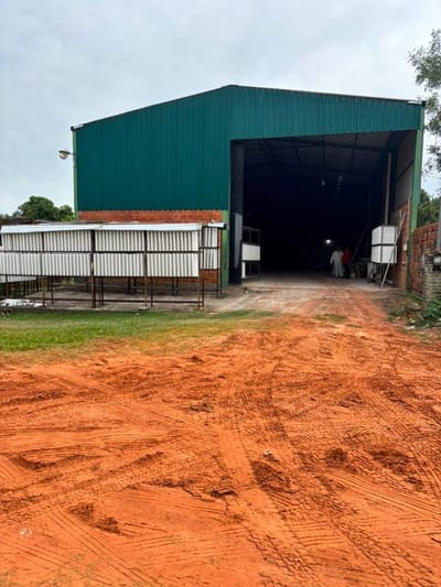 Tinglado 490 m² con renta activa | Luque
