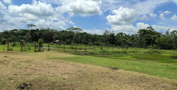 Inmueble # 740 PROPIEDAD EN VENTA EN TRINIDAD BENI
