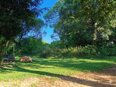 Vendo Terreno En Luque 