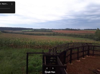 Vendo campo de 44 Hectáreas en Caaguazu para agricultura y ganadería 