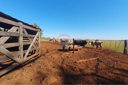 VENDO GRANJA FORMADA EN COLONIA NUEVA FORTUNA