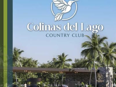 PROYECTO EN ALTOS 
