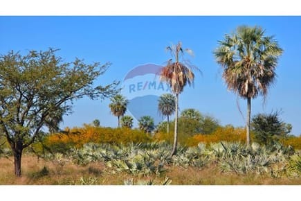 Estancia/Campo-Venta-PY Presidente Hayes Benjamín Aceval