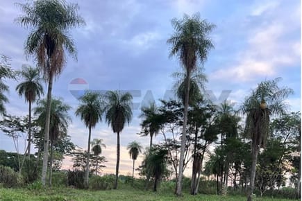 Vendo espectacular terreno en Itagua