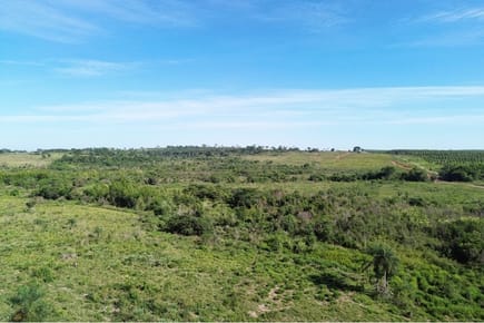 Estancia Agropecuaria de 10.019 Hectáreas en Paraguay