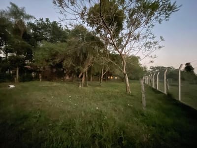 2 TERRENOS EN SAN BERNARDINO EN EL DISTRITO DE CIERVO CUA