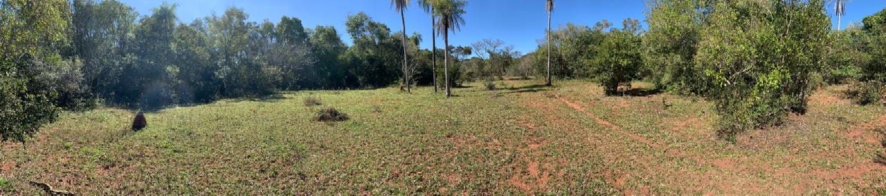 PIRIBEBUY, RUTA GRAL. ROGELIO BENÍTEZ, EN VENTA LOTE DE 4.969 M2 