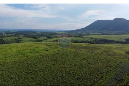 ESTANCIA GANADERA Y AGROPECUARIA.