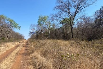 Campo - Venta - Bahia Negra, Alto Paraguay, Paraguay