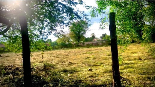 Mariano Roque Alonso Media hectárea Oportunidad  Terreno 5.000 m²