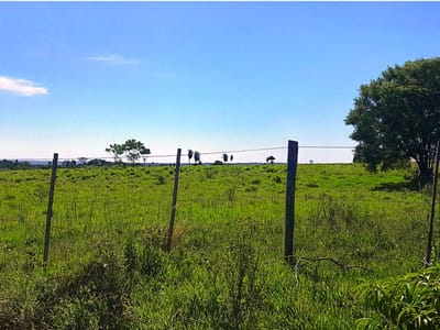 VENDO PROPIEDAD RURAL CORONEL OVIEDO A 4 KM DE LA CIUDAD