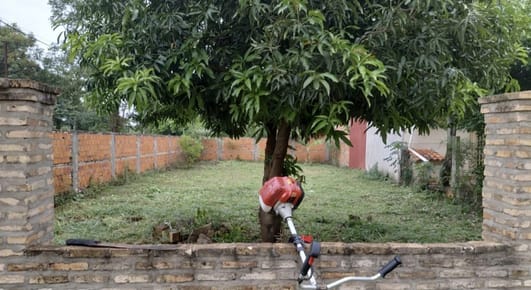 Terreno