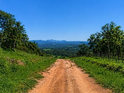  PROPIEDAD RURAL EN YBYCUÍ