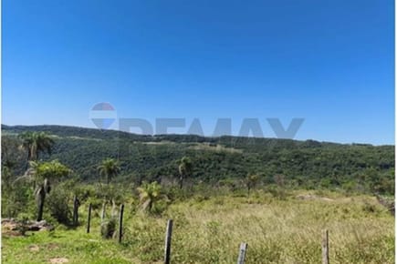 Vendo 29 Hectáreas en Ybycui, Zona Colonia César Barrientos 