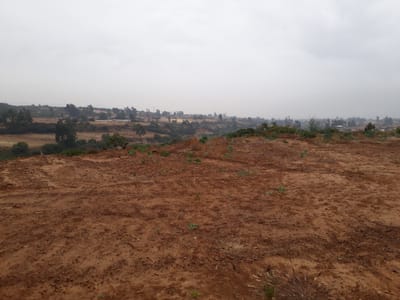 SACABA-LOPEZ RANCHO 3 HAS