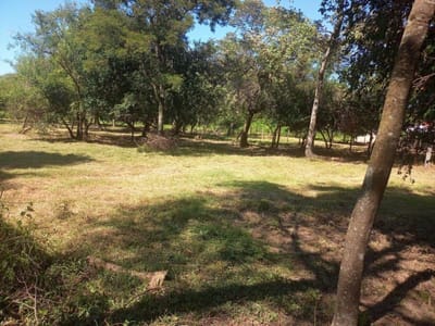 Vendo Terreno en San Bernardino- Fraccion ciervo cua- zona Heriberta Matiauda
