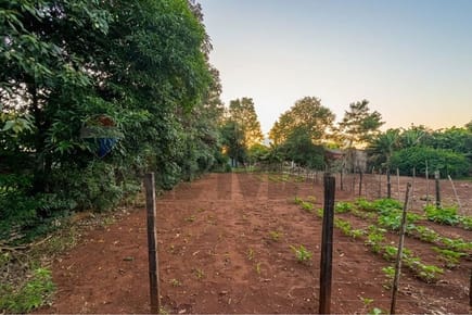 Terreno - Venta - Presidente Franco, Alto Paraná, Paraguay