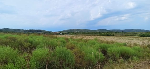 Terreno A La Venta En Marco De Los Reyes Villa Serrana | Acceso Y Vista 800m2 c/u || 3 terrenos