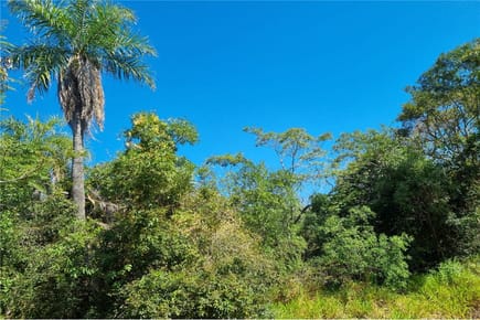 Terreno-Venta-Tapé Tuyá casi San Juan Bautista, Caacupé, Cordillera