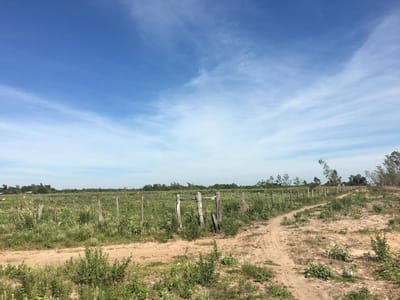CAMPO EN VENTA ,19 HECTÁREAS, CON GRAN POTENCIAL PRODUCTIVO EN ABAÍ, CAAZAPÁ