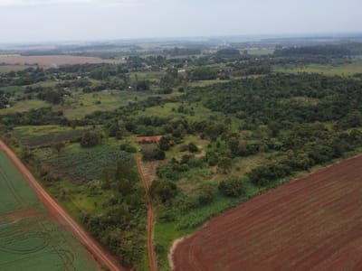 40 HECTAREAS EN MINGA GUAZU  KM 28 ALTO PARANÁ