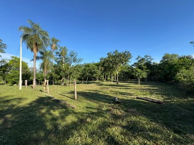 VENDO 2 TERRENOS EN SAN BERNARDINO - Ciervo Kua
