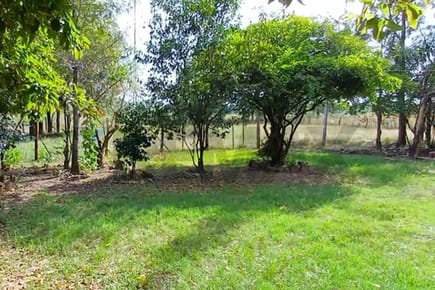 Terreno venta Ypane Central 