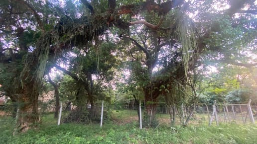 Vendo terreno en Urbanización SADI
