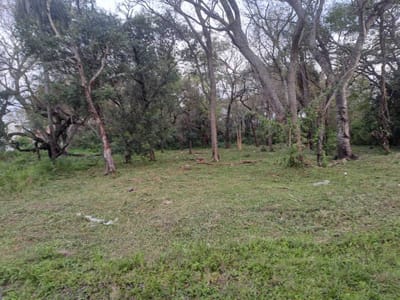Terreno en Venta – San Bernardino a pocos metros del Country Club