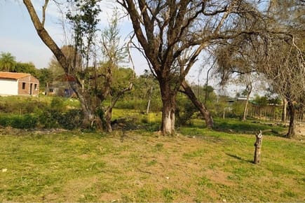 VENDO TERRENO EN MORA KUE - LUQUE