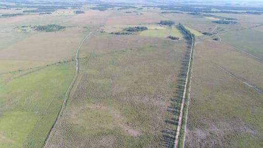 VENTA - Estancia ganadera 2.135 ha en producción - 25 de Diciembre, San Pedro