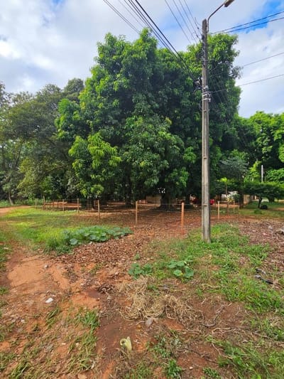 TERRENO EN VENTA EN LUQUE LOMA MERLO
